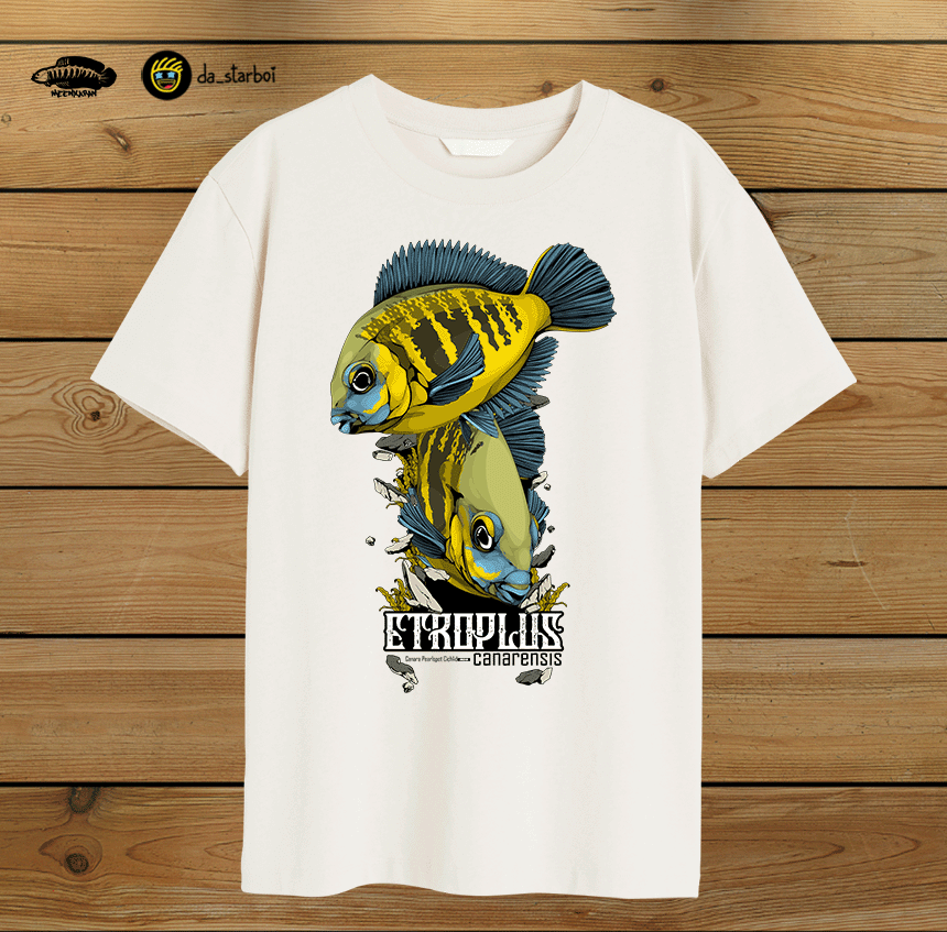 Canara Pearlspot Cichlid - Off White