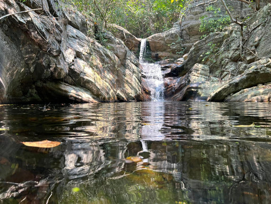 The Fishes of the Eastern Ghats that connect all the way to Sri Lanka