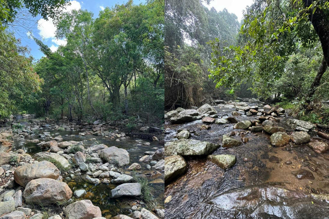 How the Eastern and Western Ghats are different and similar