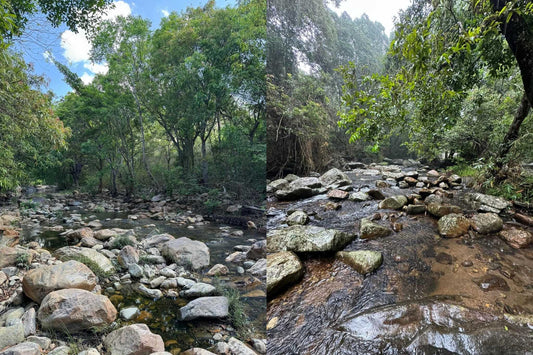 How the Eastern and Western Ghats are different and similar