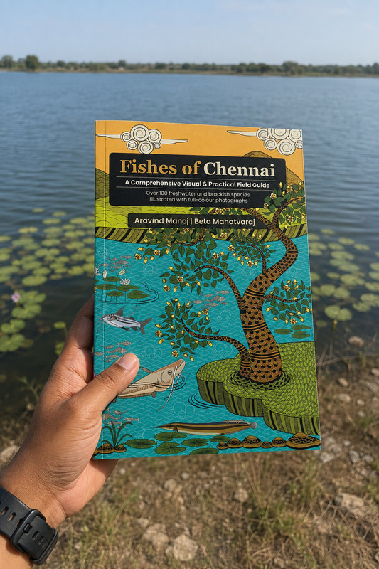 Fishes of Chennai – A Field Guide to Chennai's Freshwater and Brackish Fishes